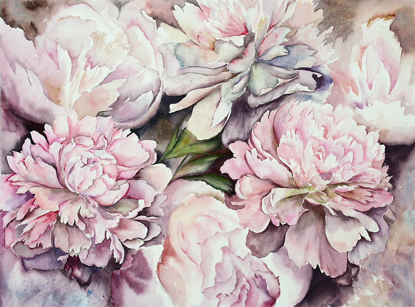 Pink Flowers Closeup Photograph Print 100% Australian Made