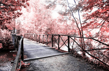 Bridge in Forest View Photograph Home Decor Premium Quality Poster Print Choose Your Sizes