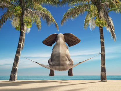 Elephant on Hammock at Beach Home Decor Premium Quality Poster Print Choose Your Sizes