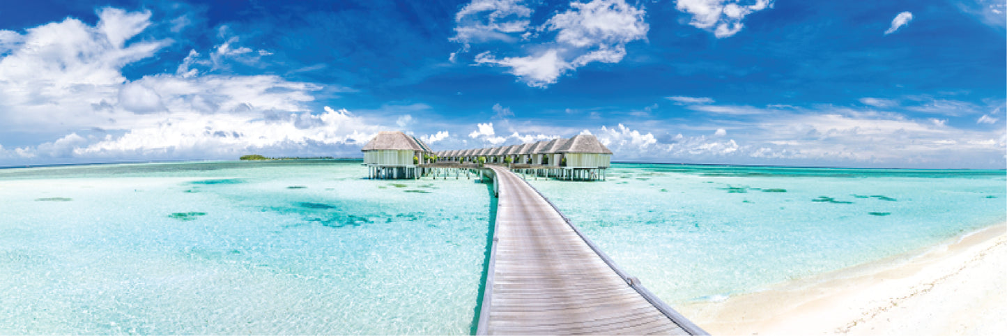 Panoramic Canvas Stunning Beach Wooden Pier High Quality 100% Australian made wall Canvas Print ready to hang