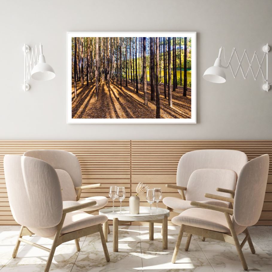 Forest Scenery View Photograph Home Decor Premium Quality Poster Print Choose Your Sizes