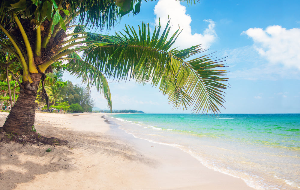 Stunning Sea Scenery Photograph Home Decor Premium Quality Poster Print Choose Your Sizes