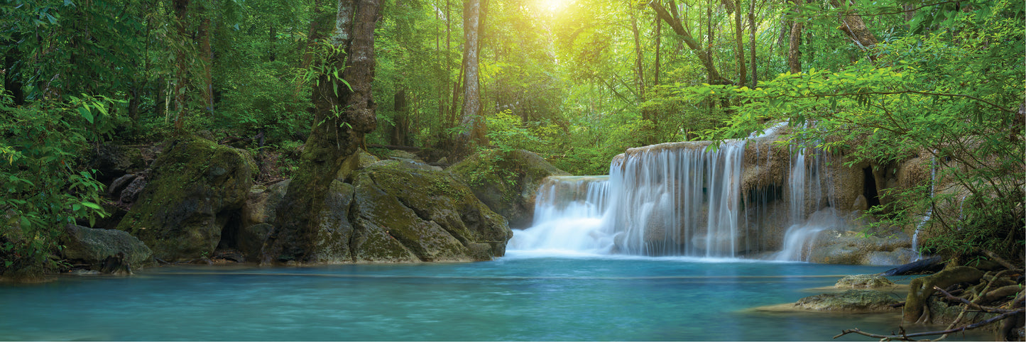 Panoramic Canvas Stunning Waterfall In Forest High Quality 100% Australian made wall Canvas Print ready to hang