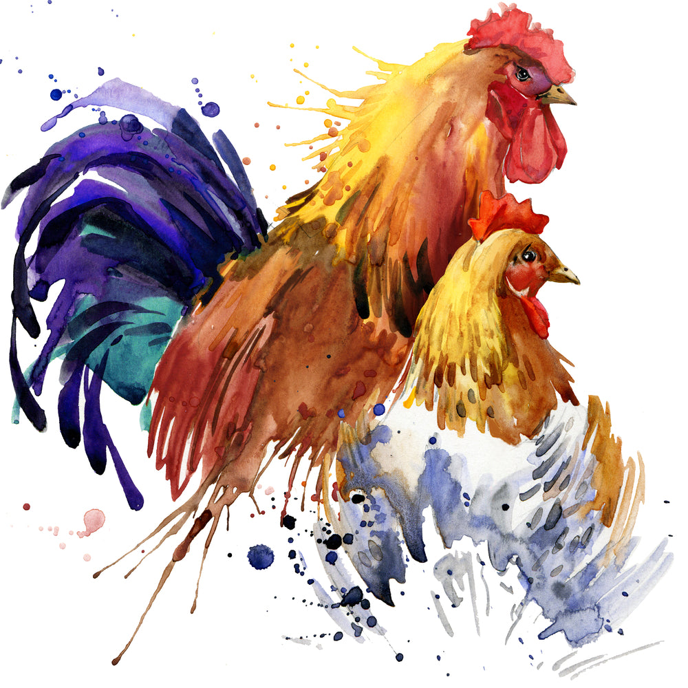 Rooster Watercolor Painting Print 100% Australian Made