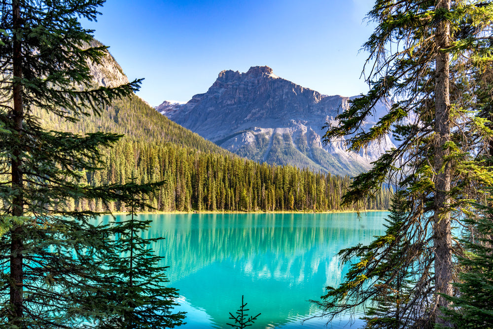 Stunning Lake & Trees View Print 100% Australian Made