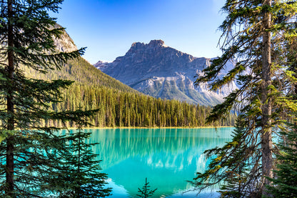Stunning Lake & Trees View Print 100% Australian Made