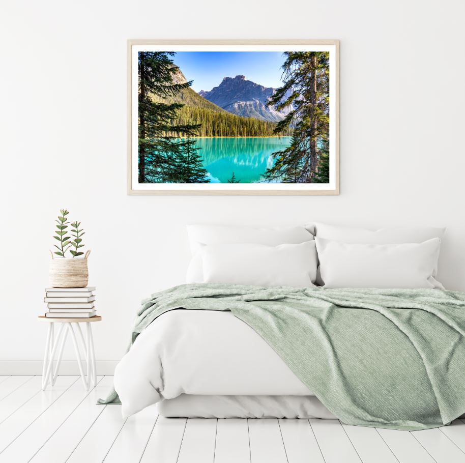Lake & Forest Scenery Photograph Home Decor Premium Quality Poster Print Choose Your Sizes