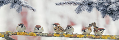 Panoramic Canvas House Sparrow Birds Sitting on a Branch High Quality 100% Australian made wall Canvas Print ready to hang