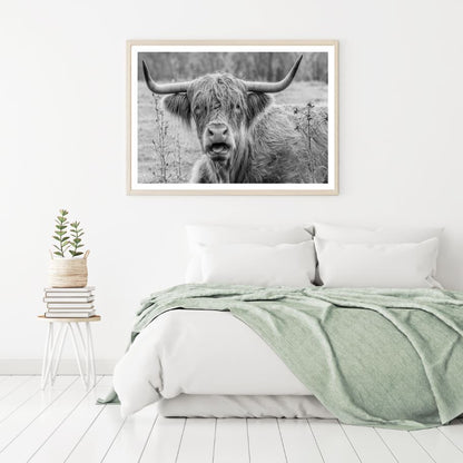 Highland Cow B&W Photograph Home Decor Premium Quality Poster Print Choose Your Sizes