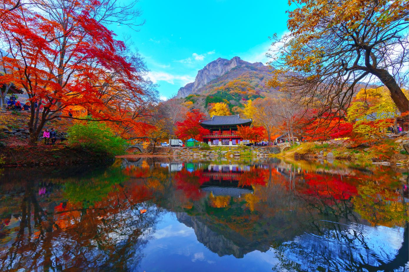 Lake & Forest Scenery Photograph Home Decor Premium Quality Poster Print Choose Your Sizes