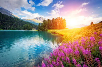 Wallpaper Murals Peel and Stick Removable Stunning Scenery View High Quality