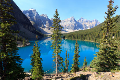 Lake & Forest Scenery Photograph Home Decor Premium Quality Poster Print Choose Your Sizes