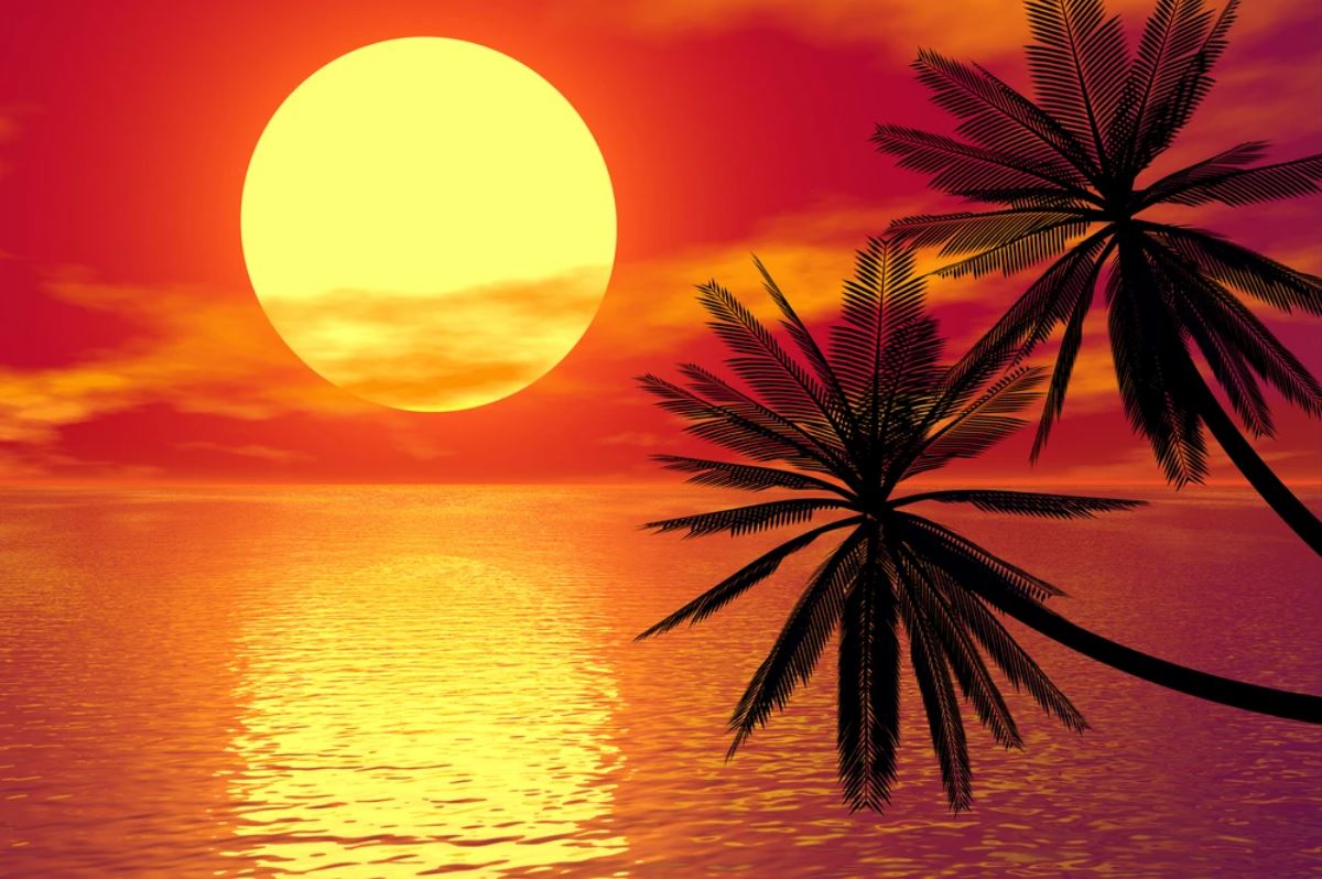 Wallpaper Murals Peel and Stick Removable Stunning Sunset at Beach Photograph High Quality