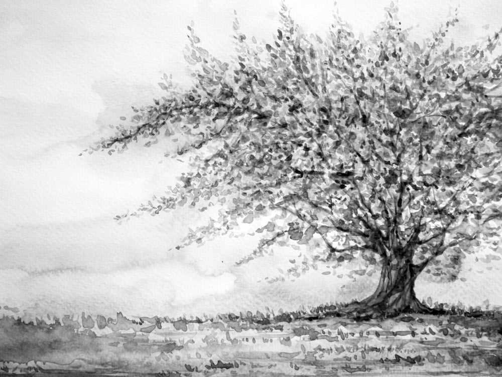 B&W Tree Painting Print 100% Australian Made