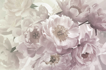 Peony Flower Closeup Photograph Home Decor Premium Quality Poster Print Choose Your Sizes