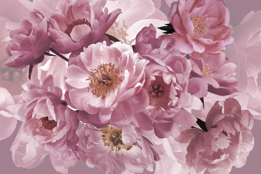 Floral Art Print 100% Australian Made