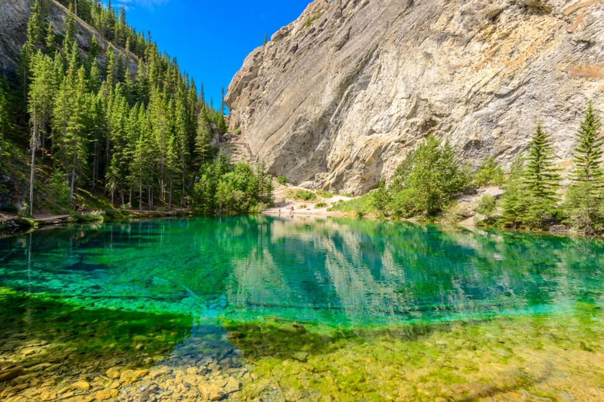 Wallpaper Murals Peel and Stick Removable Lake with Forest & Mountain Photograph High Quality