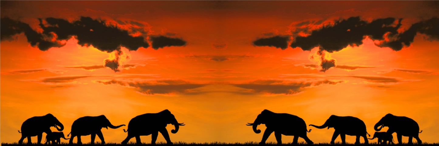 Panoramic Canvas Elephants Walking in Sunset High Quality 100% Australian made wall Canvas Print ready to hang