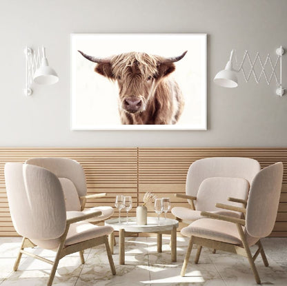 Highland Cow Portrait Photograph Home Decor Premium Quality Poster Print Choose Your Sizes