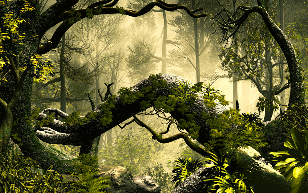 Deep Forest Digital Painting Home Decor Premium Quality Poster Print Choose Your Sizes