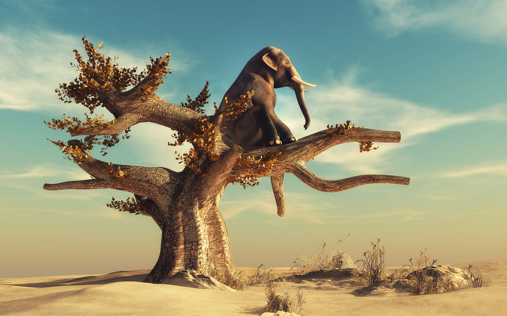 Elephant on Tree Digital Art Home Decor Premium Quality Poster Print Choose Your Sizes