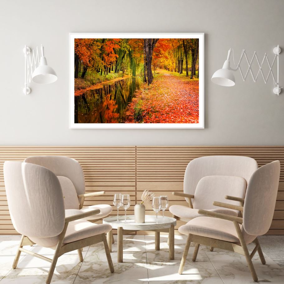 Autumn Forest Scenery Photograph Home Decor Premium Quality Poster Print Choose Your Sizes