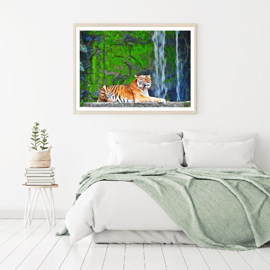 Tiger in Zoo Cave Photograph Home Decor Premium Quality Poster Print Choose Your Sizes