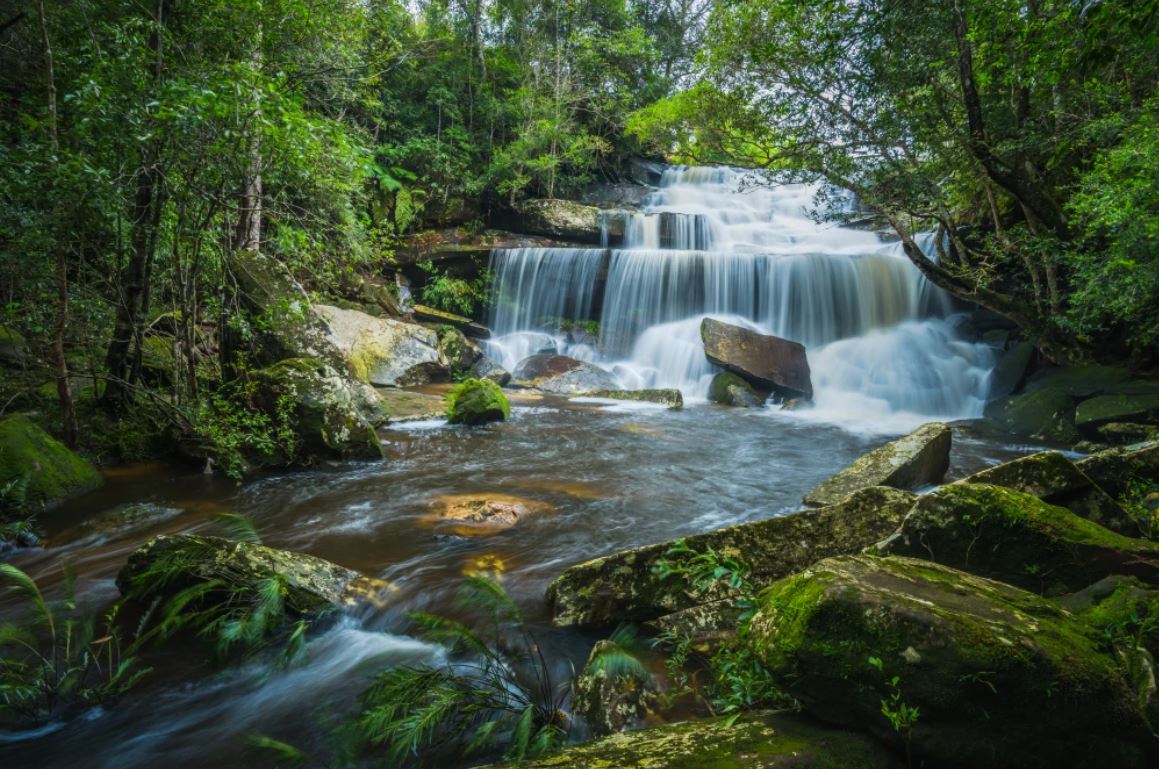 Wallpaper Murals Peel and Stick Removable Stunning Waterfall in Forest High Quality