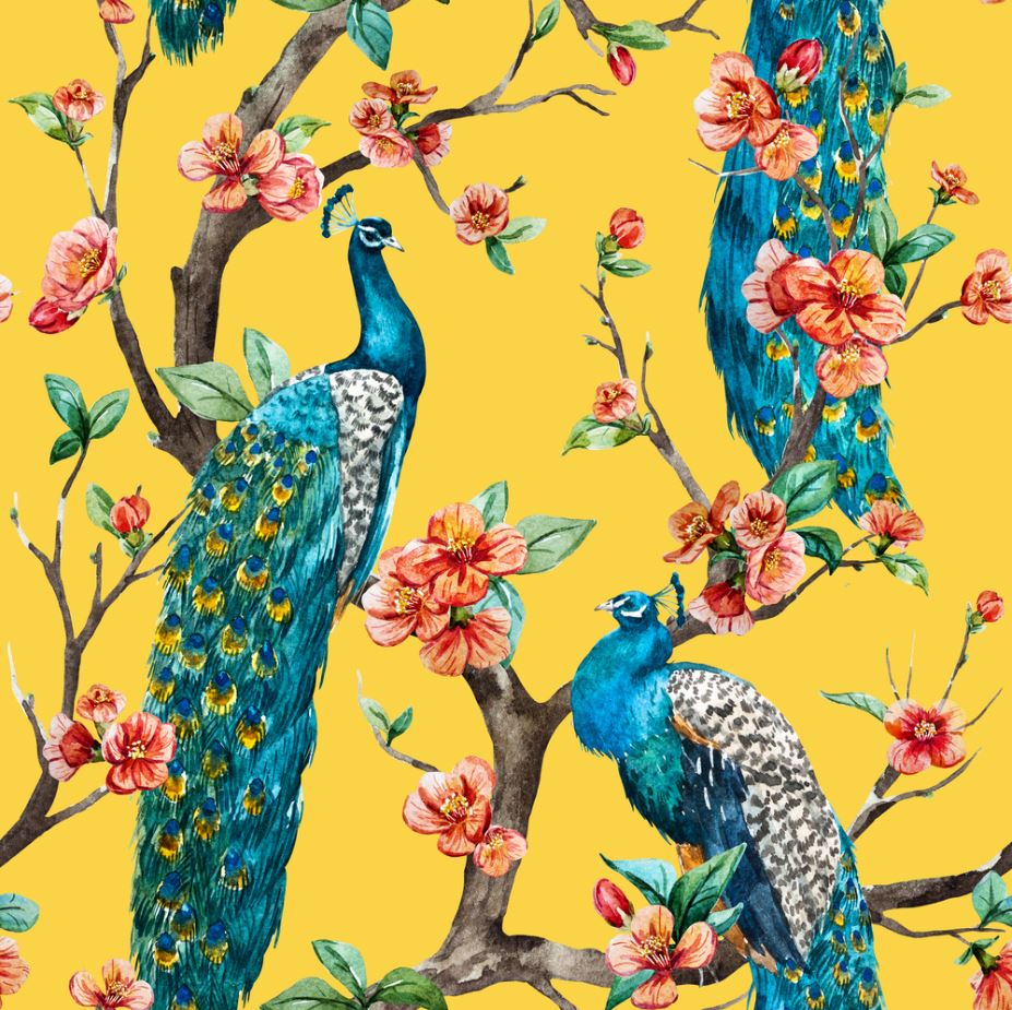 Square Canvas Peacock Birds on Flower Tree Art High Quality Print 100% Australian Made