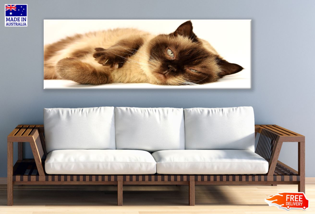 Panoramic Canvas Sleeping Cat Closeup High Quality 100% Australian Made Wall Canvas Print Ready to Hang