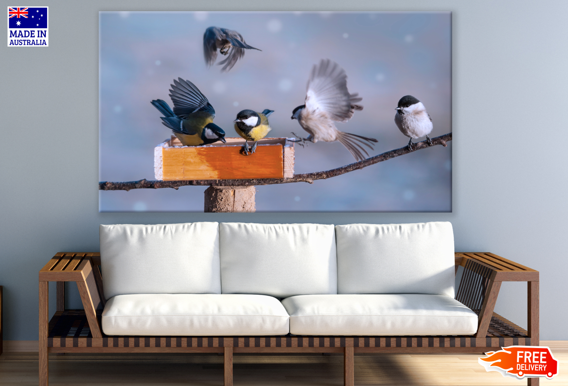 Black-Capped Chickadee Birds on a Branch Print 100% Australian Made