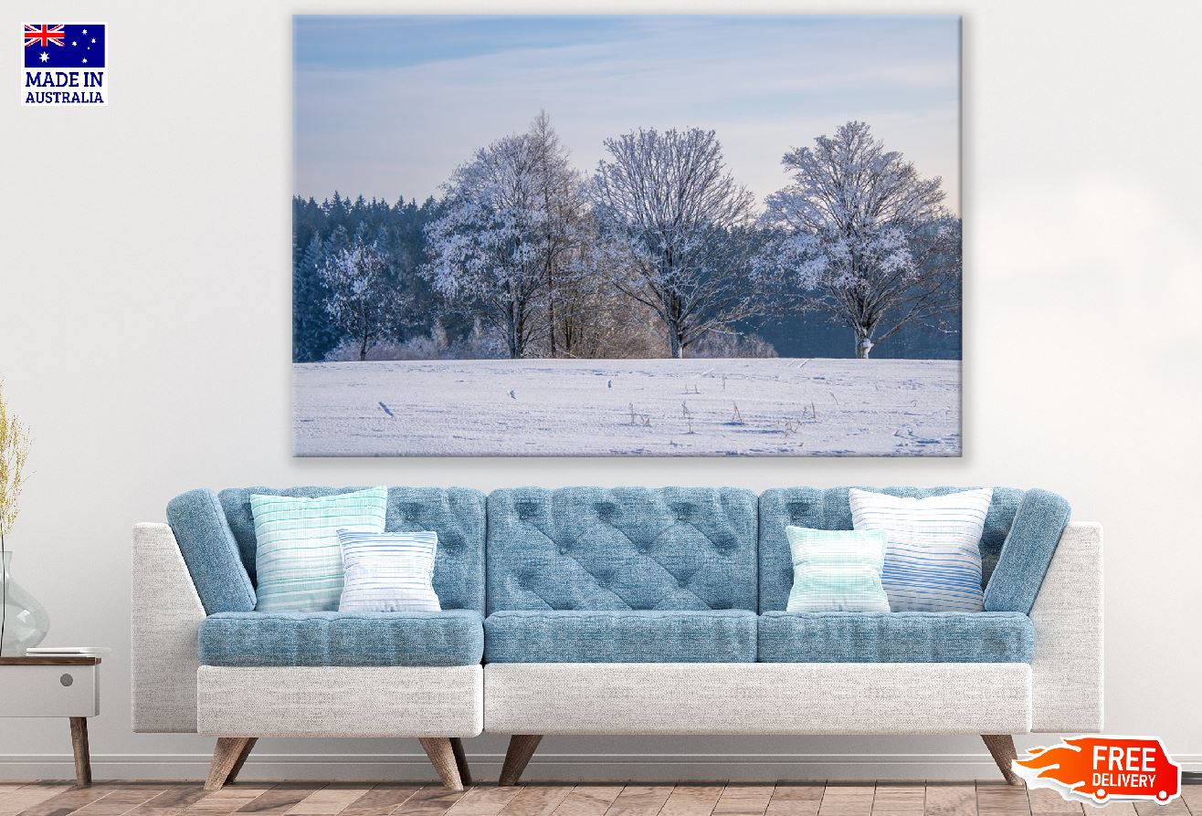 Snow Covered Trees & Snow Field Photograph Print 100% Australian Made