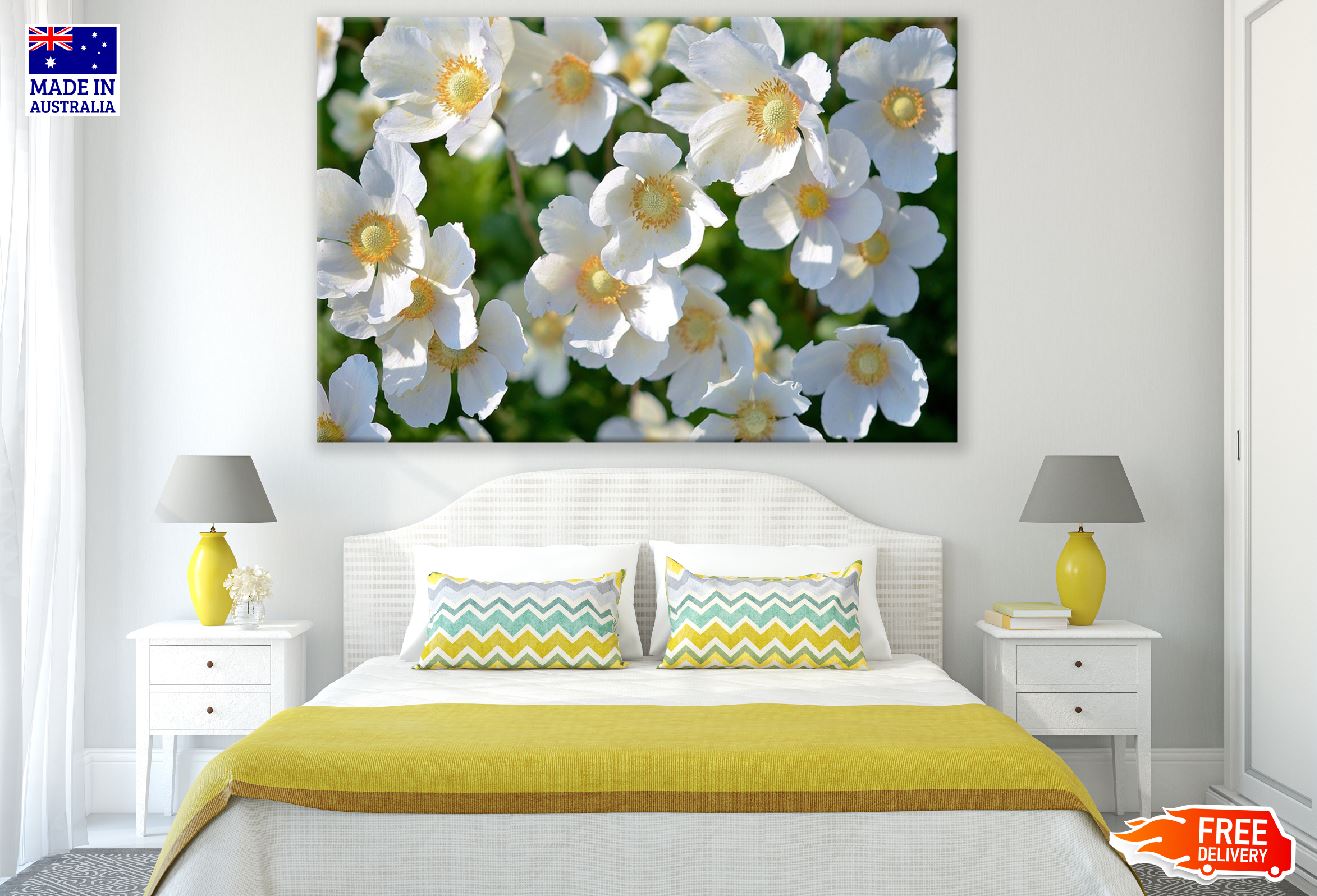 White Anemones Flowers Photograph Print 100% Australian Made