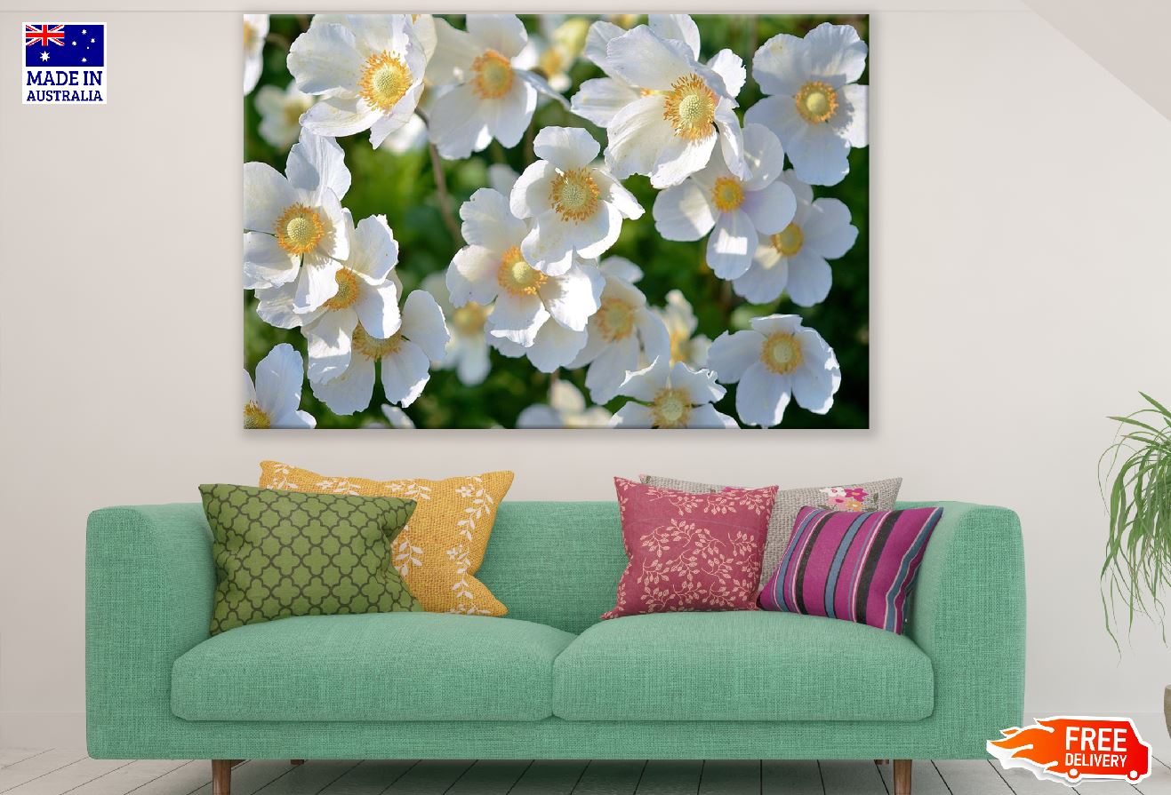 White Anemones Flowers Photograph Print 100% Australian Made