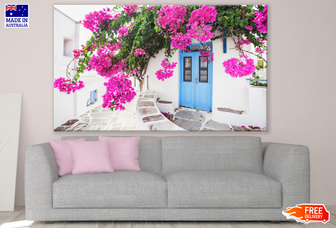 Bougainvillea Flower Plant Photograph Print 100% Australian Made