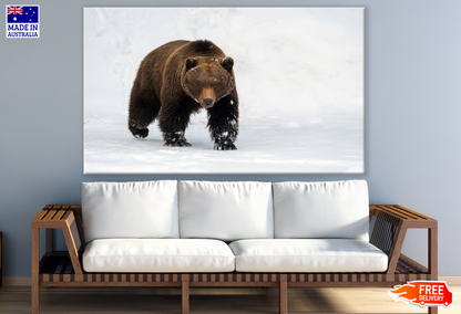 Bear Walking on Snow Print 100% Australian Made