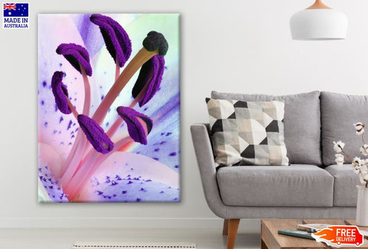 Purple Flower Closeup Photograph Print 100% Australian Made