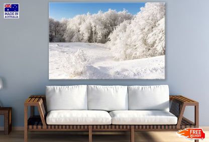 Snow Trees on Mountain View Photograph Print 100% Australian Made