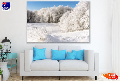 Snow Trees on Mountain View Photograph Print 100% Australian Made