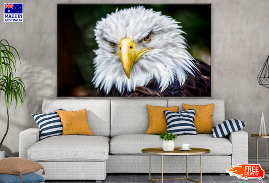 Eagle Portrait Photograph Print 100% Australian Made