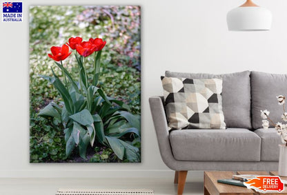 Orange Flowers Photograph Print 100% Australian Made