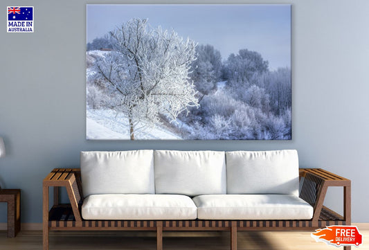 Snow Covered Tree Closeup Photograph Print 100% Australian Made