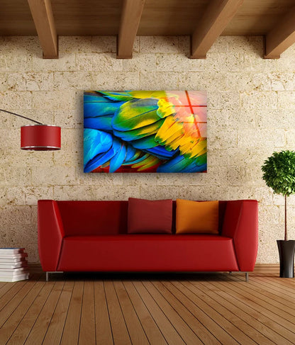 Colorful Feathers Closeup Photograph Acrylic Glass Print Tempered Glass Wall Art 100% Made in Australia Ready to Hang