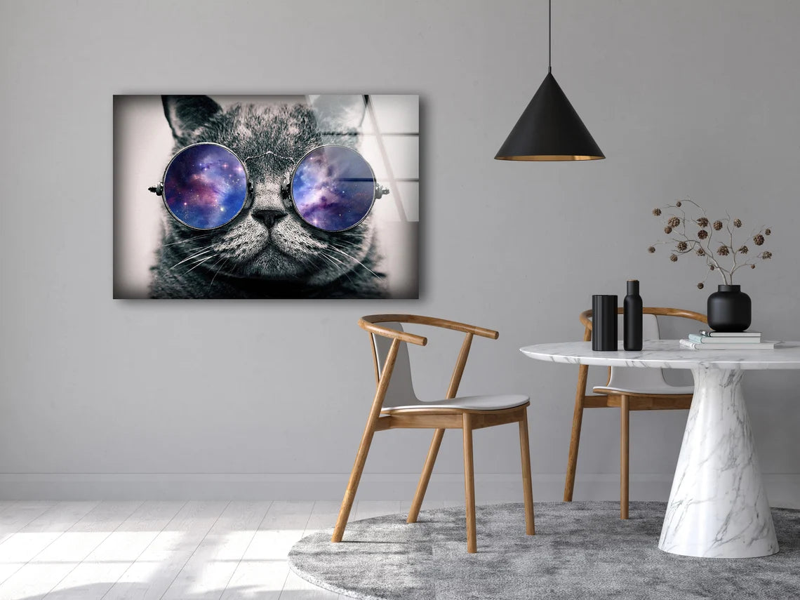 Cat with Sunglasses Photograph Acrylic Glass Print Tempered Glass Wall Art 100% Made in Australia Ready to Hang