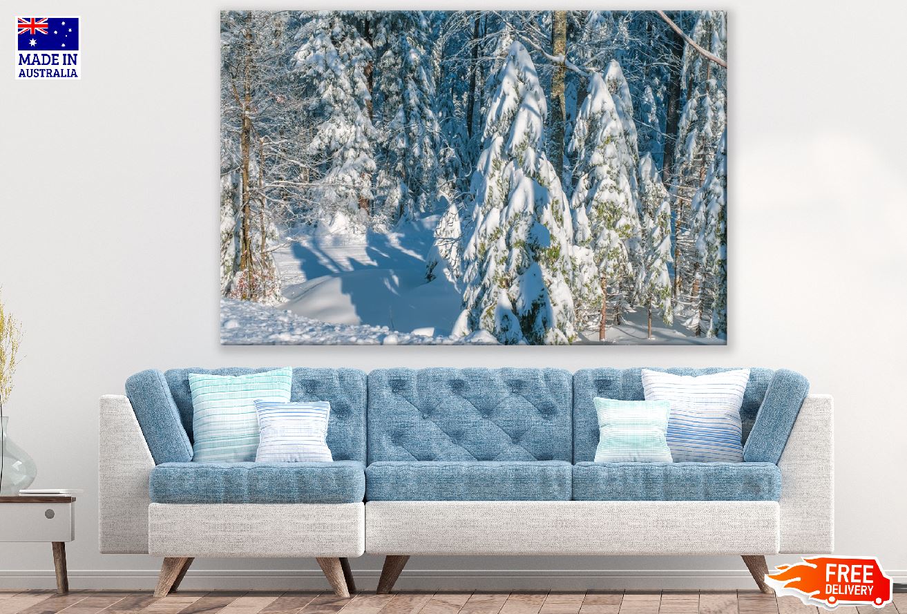 Winter Trees Forest Photograph Print 100% Australian Made