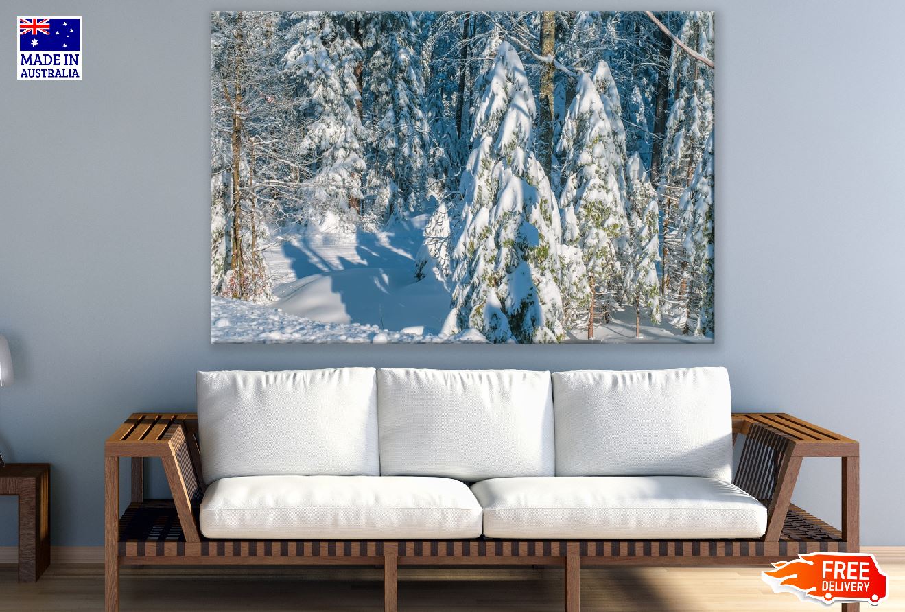 Winter Trees Forest Photograph Print 100% Australian Made