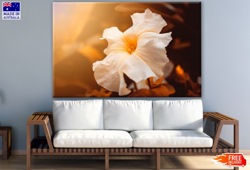 White Flower Closeup Photograph Print 100% Australian Made