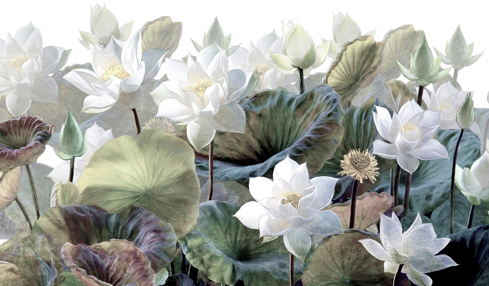 Lotus Flowers Digital Painting Home Decor Premium Quality Poster Print Choose Your Sizes