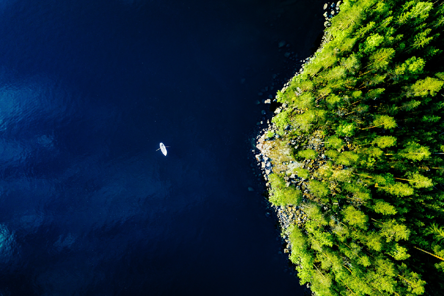 Trees & Boat On Sea Aerial View Print 100% Australian Made