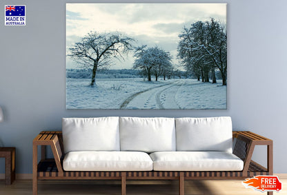 Snow Covered Pathway & Dead Trees Photograph Print 100% Australian Made